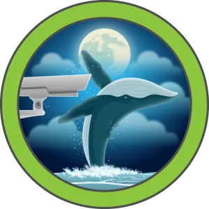 CCTV HackTheBox Machine
